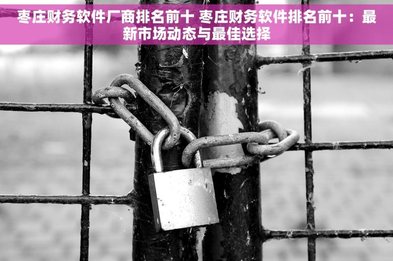 枣庄财务软件厂商排名前十 枣庄财务软件排名前十：最新市场动态与最佳选择