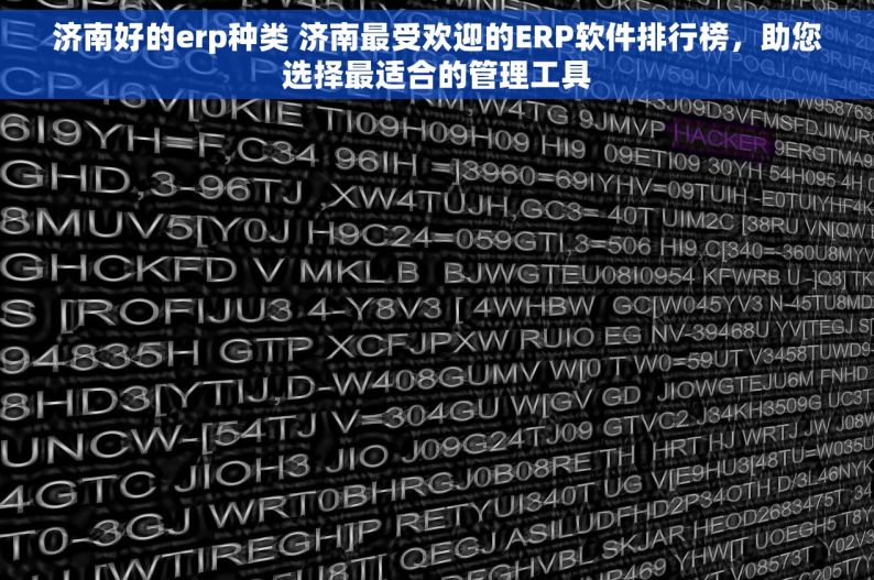 济南好的erp种类 济南最受欢迎的ERP软件排行榜，助您选择最适合的管理工具