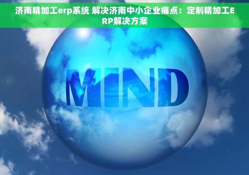 济南精加工erp系统 解决济南中小企业痛点：定制精加工ERP解决方案