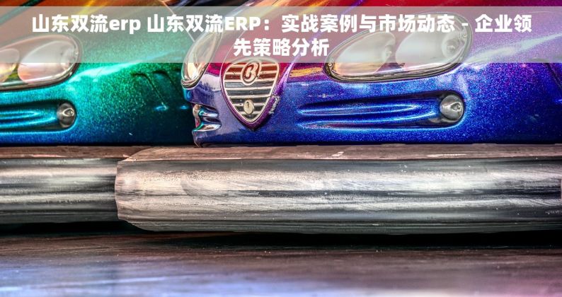 山东双流erp 山东双流ERP：实战案例与市场动态 - 企业领先策略分析