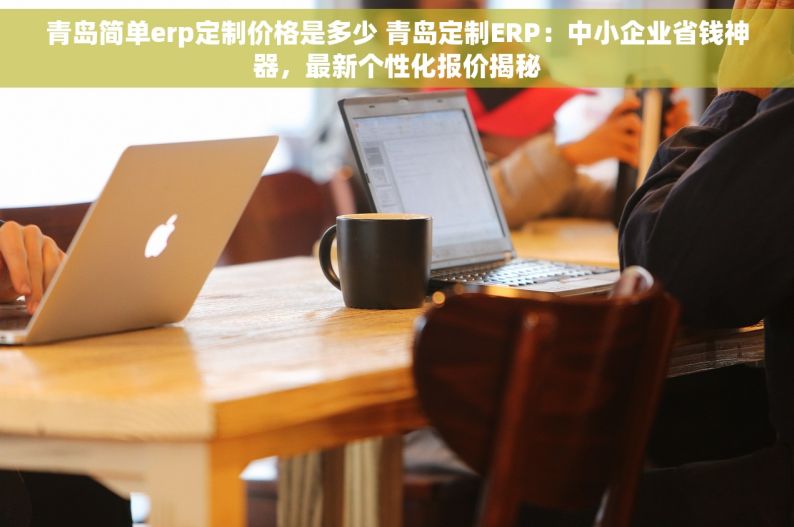 青岛简单erp定制价格是多少 青岛定制ERP：中小企业省钱神器，最新个性化报价揭秘