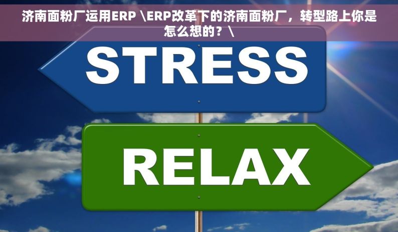 济南面粉厂运用ERP \ERP改革下的济南面粉厂，转型路上你是怎么想的？\