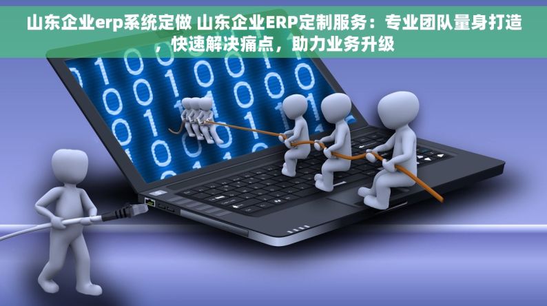 山东企业erp系统定做 山东企业ERP定制服务：专业团队量身打造，快速解决痛点，助力业务升级