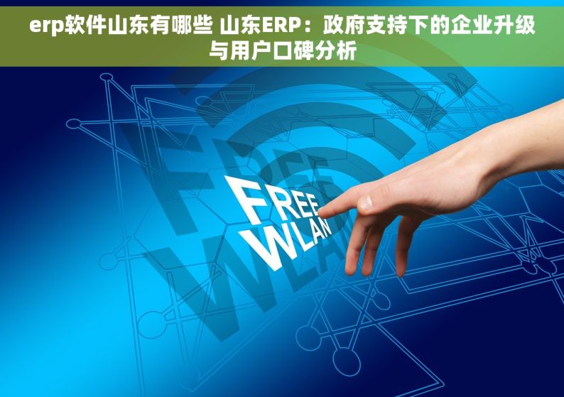 erp软件山东有哪些 山东ERP：政府支持下的企业升级与用户口碑分析