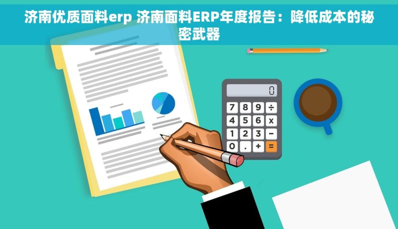 济南优质面料erp 济南面料ERP年度报告：降低成本的秘密武器