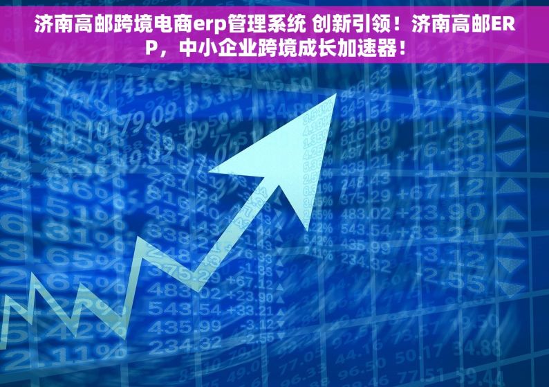 济南高邮跨境电商erp管理系统 创新引领！济南高邮ERP，中小企业跨境成长加速器！