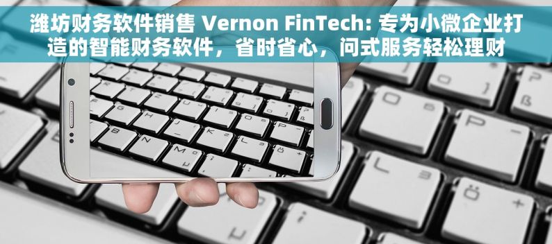 潍坊财务软件销售 Vernon FinTech: 专为小微企业打造的智能财务软件，省时省心，问式服务轻松理财