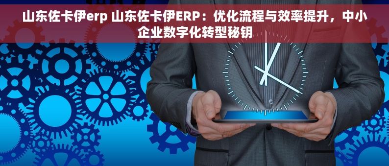 山东佐卡伊erp 山东佐卡伊ERP：优化流程与效率提升，中小企业数字化转型秘钥