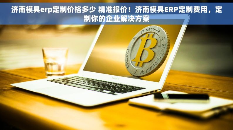 济南模具erp定制价格多少 精准报价！济南模具ERP定制费用，定制你的企业解决方案