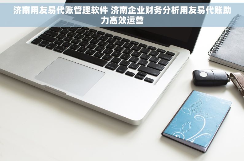 济南用友易代账管理软件 济南企业财务分析用友易代账助力高效运营