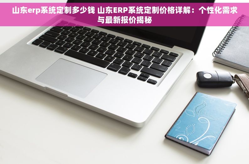 山东erp系统定制多少钱 山东ERP系统定制价格详解：个性化需求与最新报价揭秘