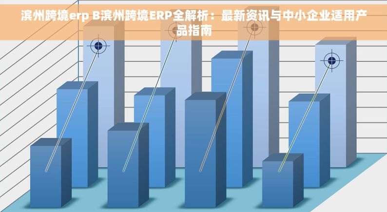 滨州跨境erp B滨州跨境ERP全解析：最新资讯与中小企业适用产品指南