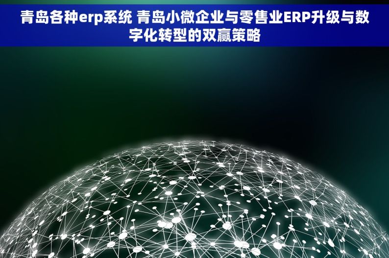 青岛各种erp系统 青岛小微企业与零售业ERP升级与数字化转型的双赢策略