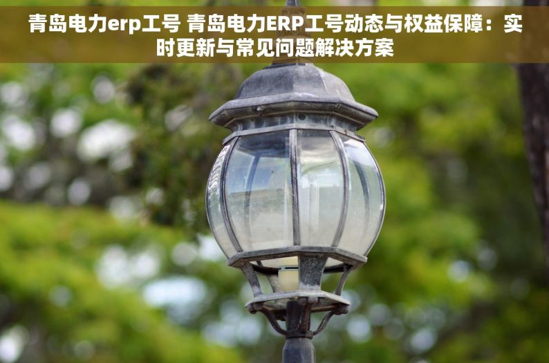 青岛电力erp工号 青岛电力ERP工号动态与权益保障：实时更新与常见问题解决方案