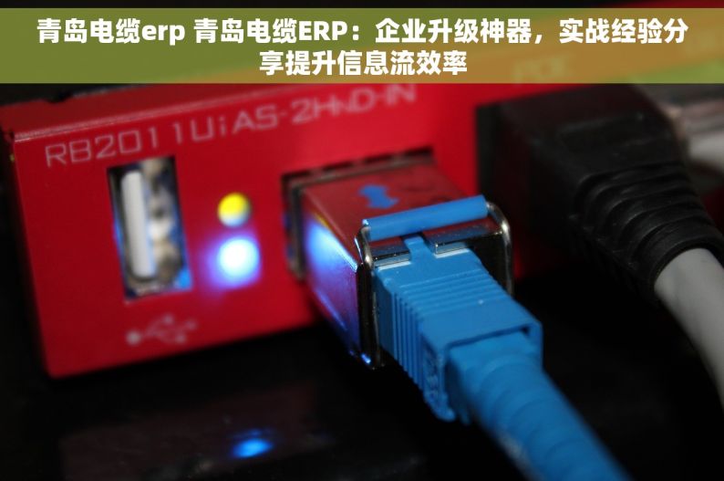 青岛电缆erp 青岛电缆ERP：企业升级神器，实战经验分享提升信息流效率