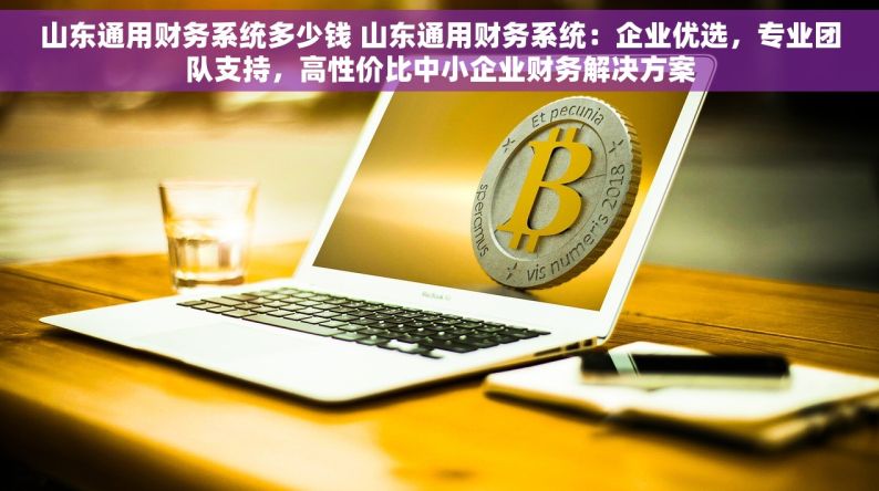 山东通用财务系统多少钱 山东通用财务系统：企业优选，专业团队支持，高性价比中小企业财务解决方案