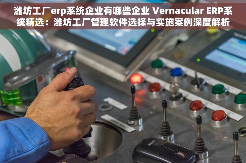 潍坊工厂erp系统企业有哪些企业 Vernacular ERP系统精选：潍坊工厂管理软件选择与实施案例深度解析