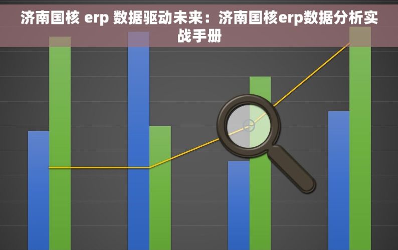 济南国核 erp 数据驱动未来：济南国核erp数据分析实战手册