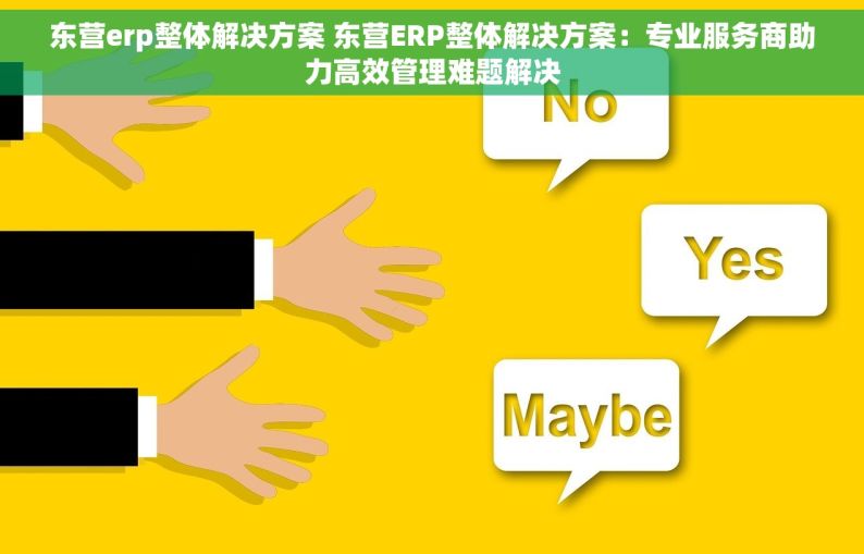 东营erp整体解决方案 东营ERP整体解决方案：专业服务商助力高效管理难题解决