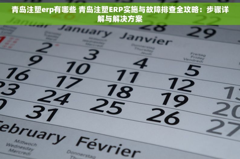 青岛注塑erp有哪些 青岛注塑ERP实施与故障排查全攻略：步骤详解与解决方案