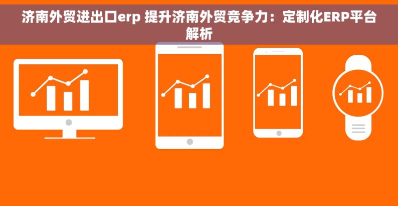 济南外贸进出口erp 提升济南外贸竞争力：定制化ERP平台解析