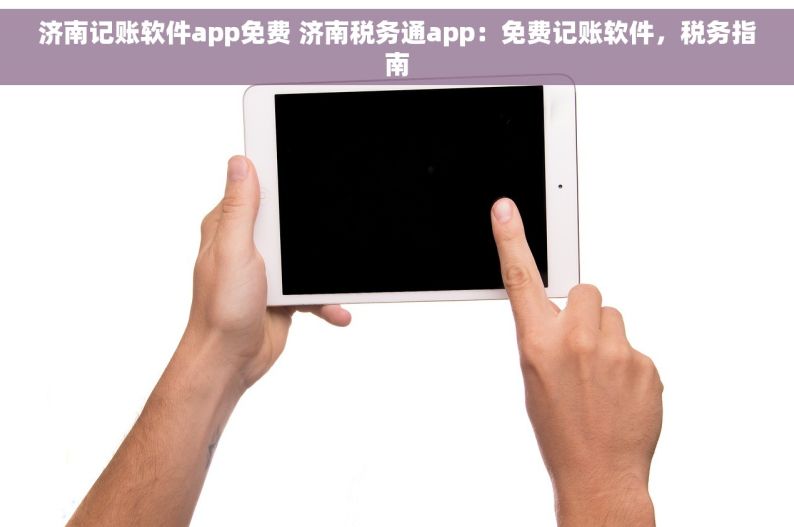 济南记账软件app免费 济南税务通app：免费记账软件，税务指南