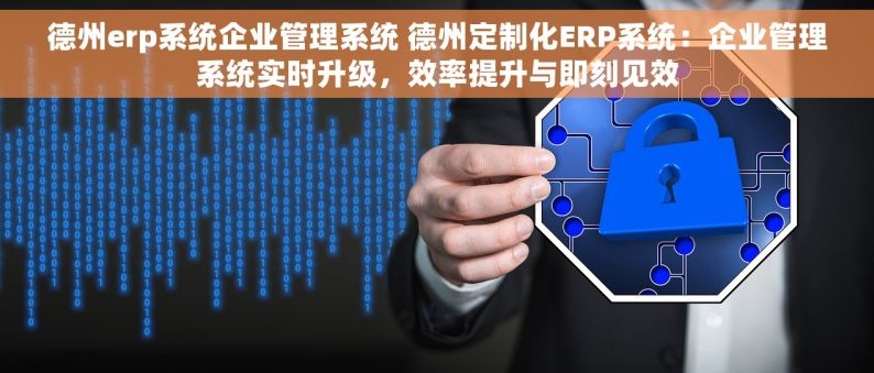 德州erp系统企业管理系统 德州定制化ERP系统：企业管理系统实时升级，效率提升与即刻见效