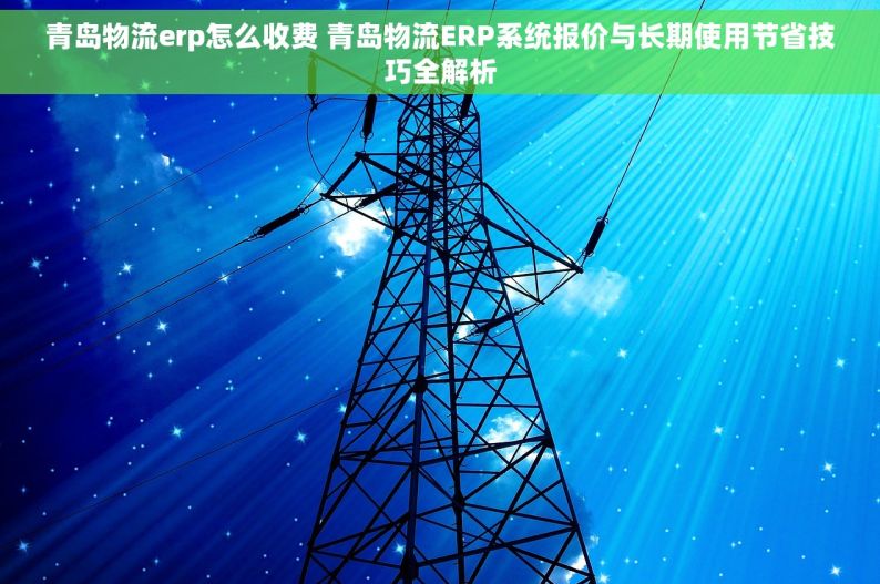 青岛物流erp怎么收费 青岛物流ERP系统报价与长期使用节省技巧全解析