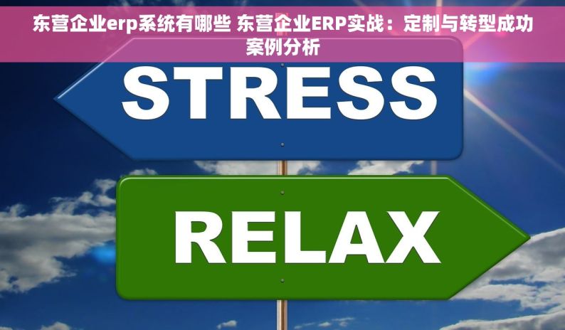 东营企业erp系统有哪些 东营企业ERP实战：定制与转型成功案例分析