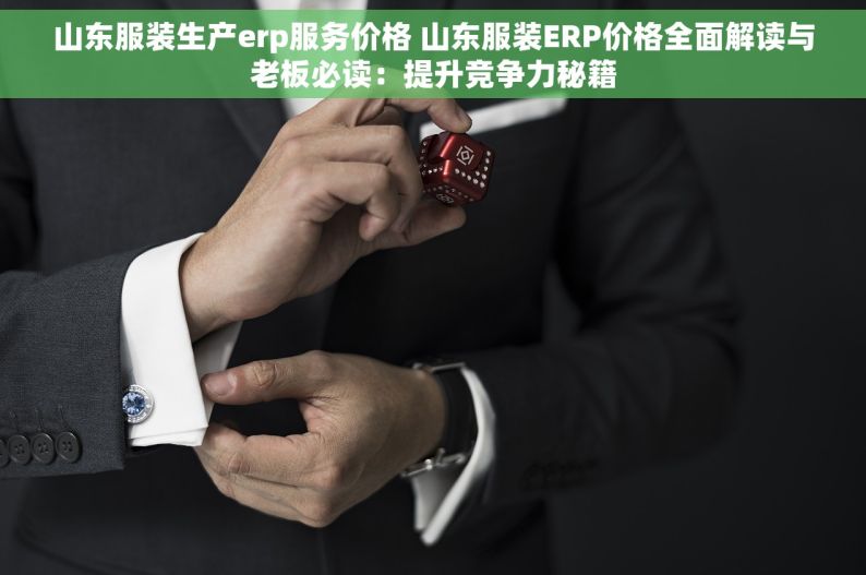 山东服装生产erp服务价格 山东服装ERP价格全面解读与老板必读：提升竞争力秘籍