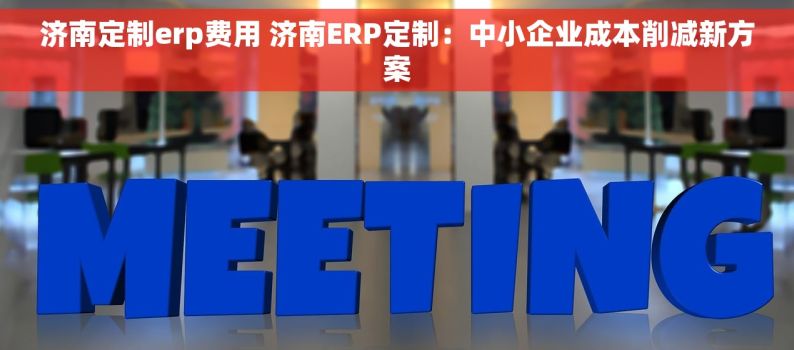 济南定制erp费用 济南ERP定制：中小企业成本削减新方案