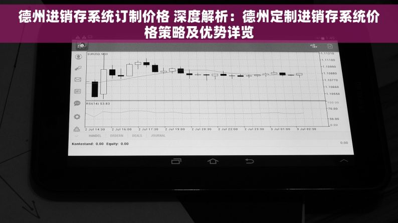 德州进销存系统订制价格 深度解析：德州定制进销存系统价格策略及优势详览