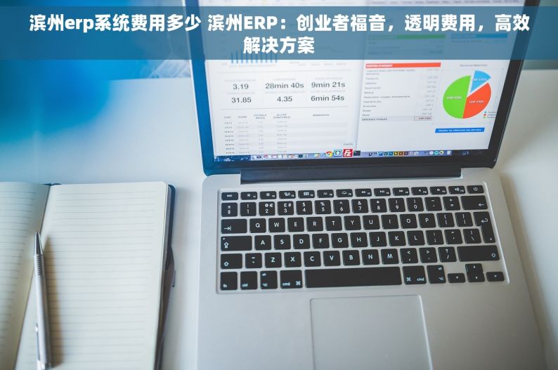 滨州erp系统费用多少 滨州ERP：创业者福音，透明费用，高效解决方案