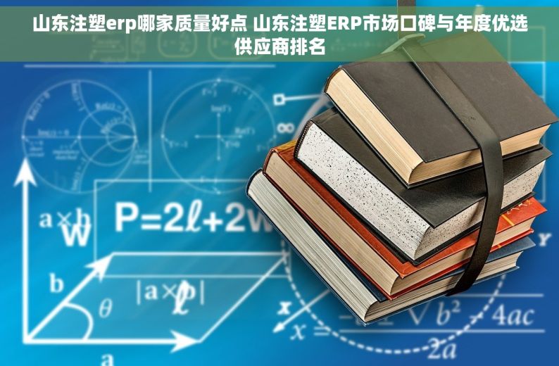 山东注塑erp哪家质量好点 山东注塑ERP市场口碑与年度优选供应商排名