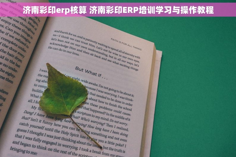 济南彩印erp核算 济南彩印ERP培训学习与操作教程