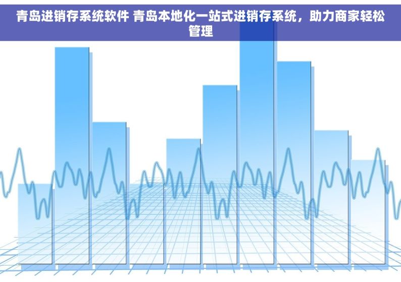 青岛进销存系统软件 青岛本地化一站式进销存系统，助力商家轻松管理