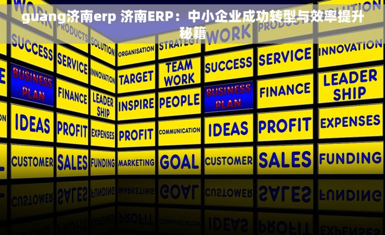 guang济南erp 济南ERP：中小企业成功转型与效率提升秘籍