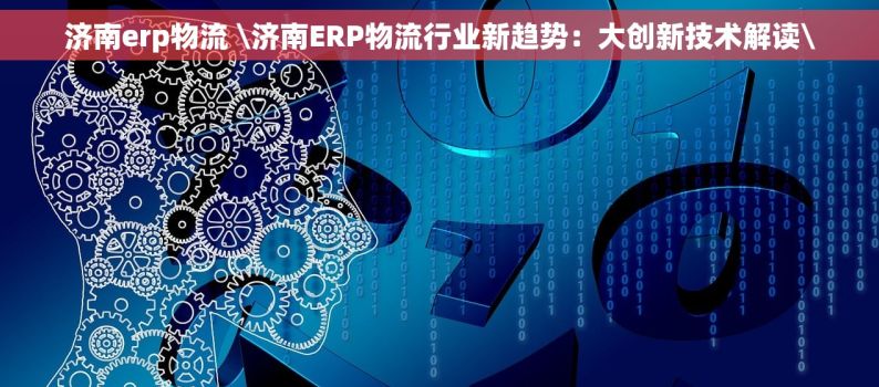 济南erp物流 \济南ERP物流行业新趋势：大创新技术解读\