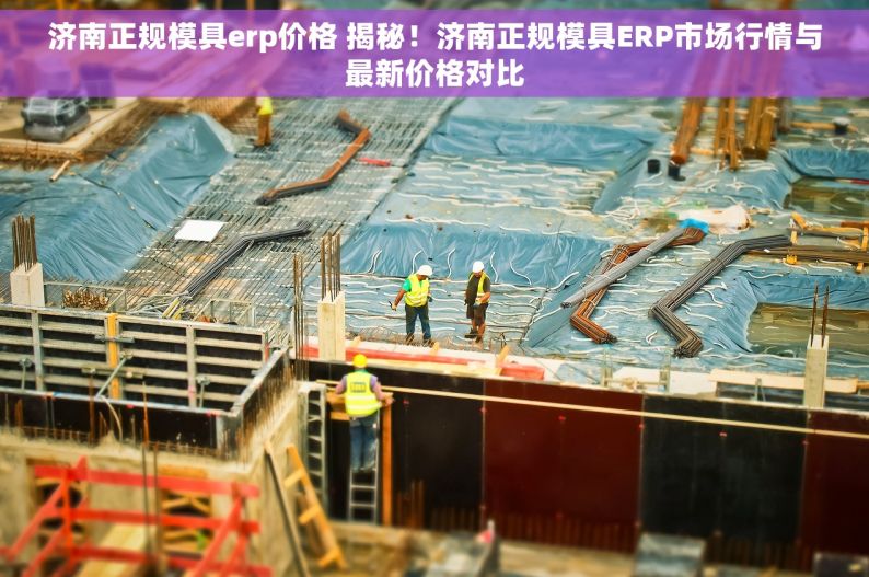 济南正规模具erp价格 揭秘！济南正规模具ERP市场行情与最新价格对比