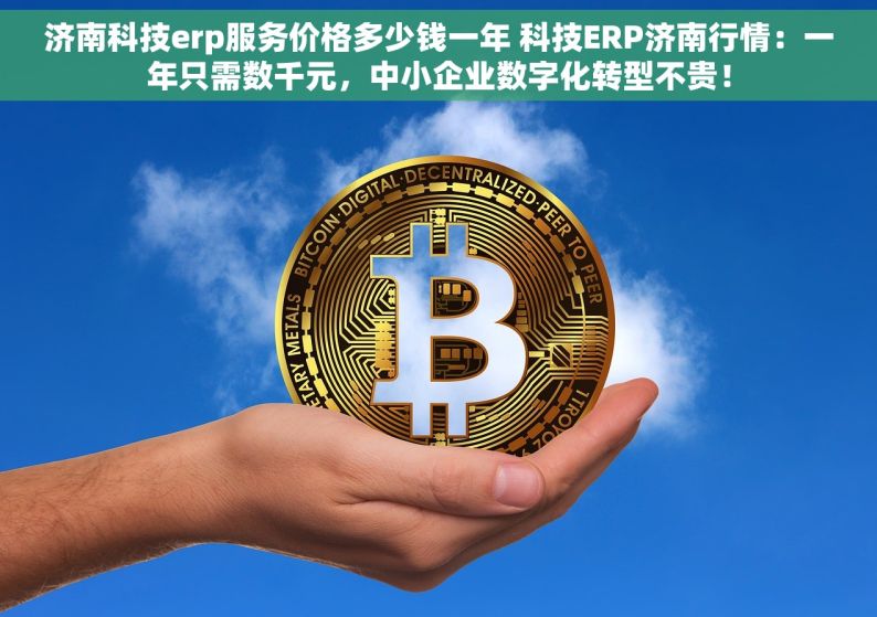 济南科技erp服务价格多少钱一年 科技ERP济南行情：一年只需数千元，中小企业数字化转型不贵！