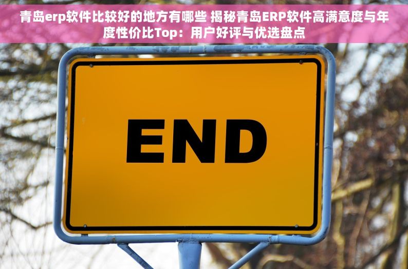 青岛erp软件比较好的地方有哪些 揭秘青岛ERP软件高满意度与年度性价比Top：用户好评与优选盘点