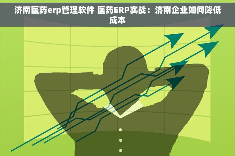 济南医药erp管理软件 医药ERP实战：济南企业如何降低成本