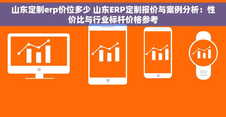 山东定制erp价位多少 山东ERP定制报价与案例分析：性价比与行业标杆价格参考