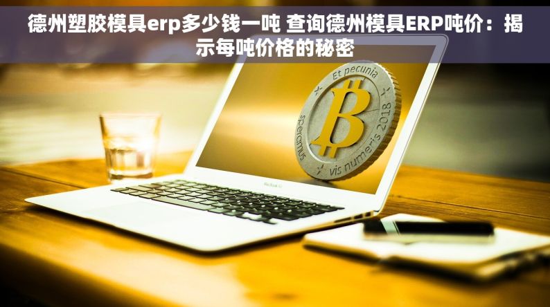 德州塑胶模具erp多少钱一吨 查询德州模具ERP吨价：揭示每吨价格的秘密