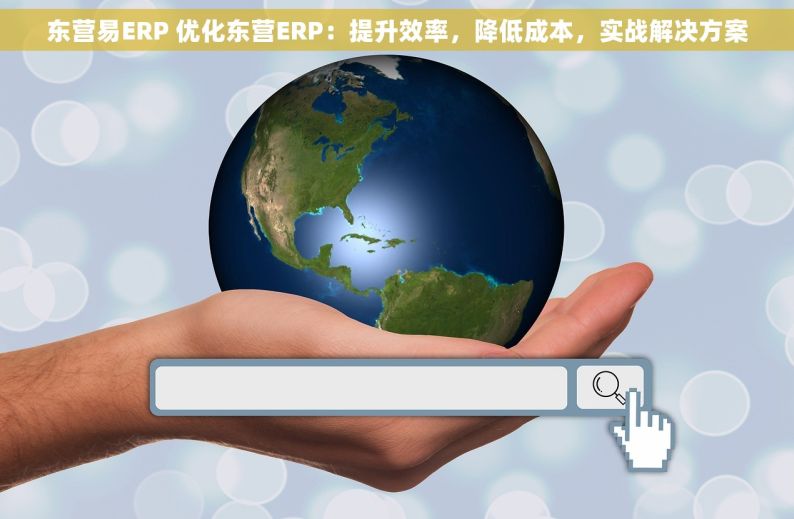 东营易ERP 优化东营ERP：提升效率，降低成本，实战解决方案