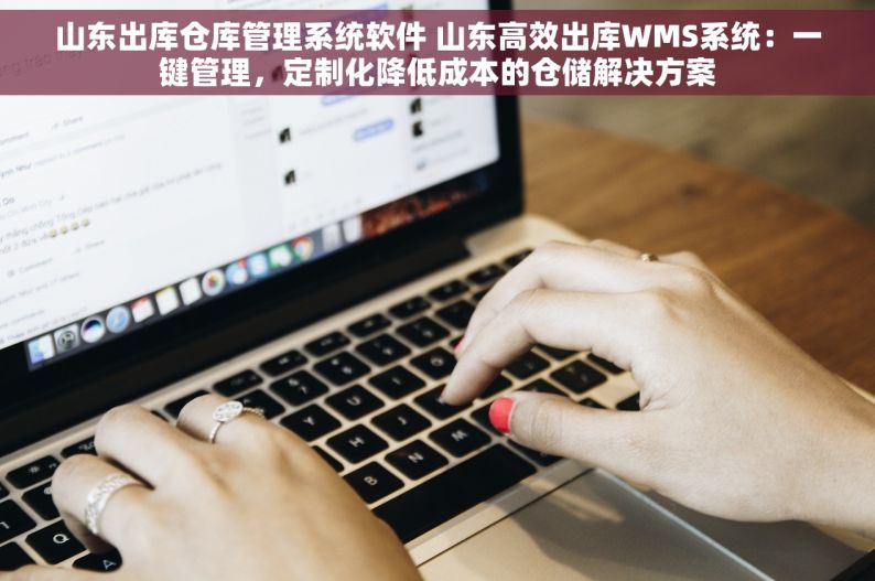 山东出库仓库管理系统软件 山东高效出库WMS系统：一键管理，定制化降低成本的仓储解决方案