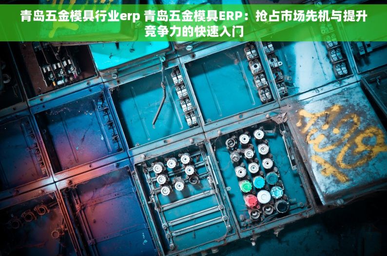 青岛五金模具行业erp 青岛五金模具ERP：抢占市场先机与提升竞争力的快速入门