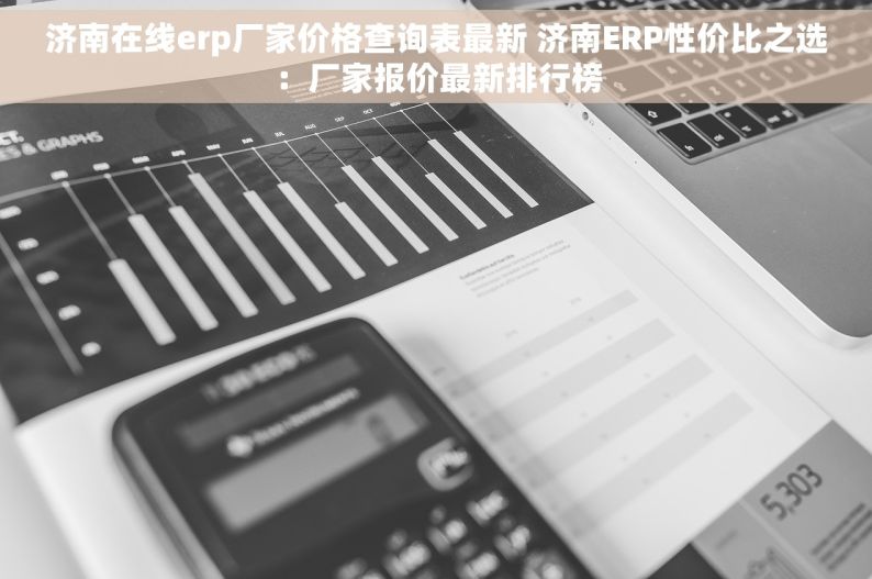 济南在线erp厂家价格查询表最新 济南ERP性价比之选：厂家报价最新排行榜