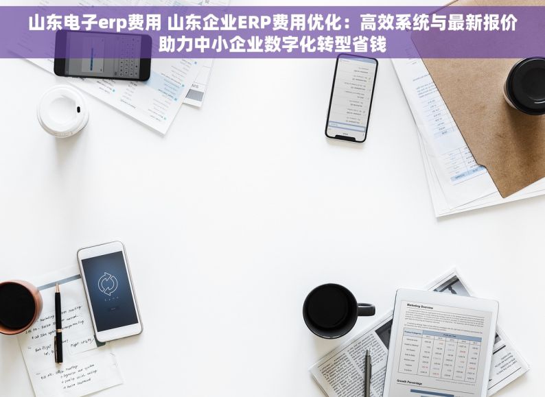 山东电子erp费用 山东企业ERP费用优化：高效系统与最新报价助力中小企业数字化转型省钱