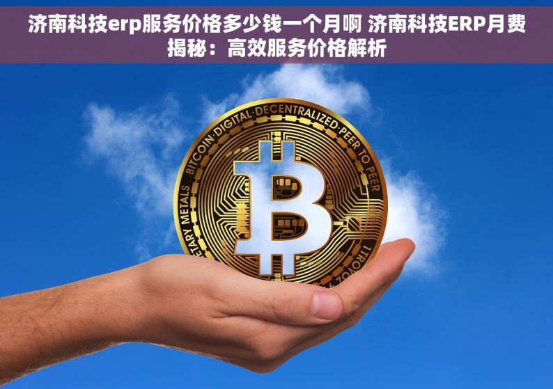 济南科技erp服务价格多少钱一个月啊 济南科技ERP月费揭秘：高效服务价格解析